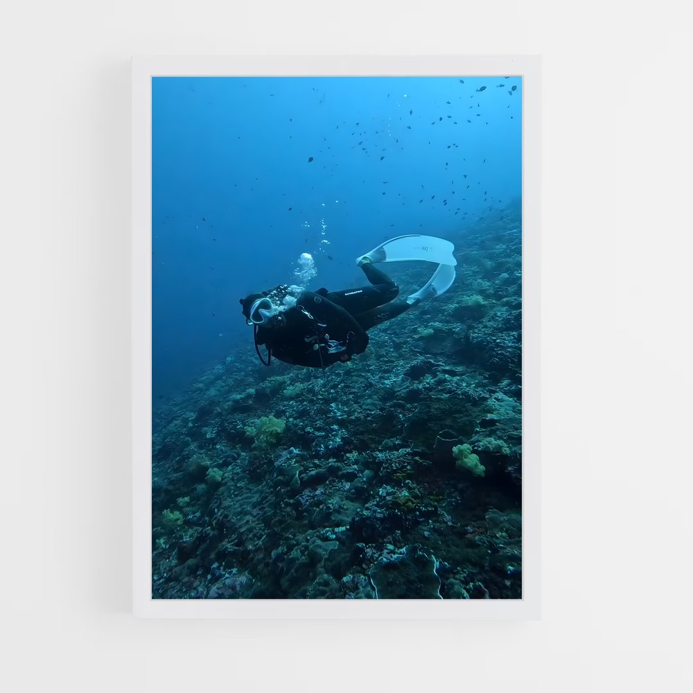 Poster Plongée Maldivienne – affiche Plongée sous-marine (vue 3)